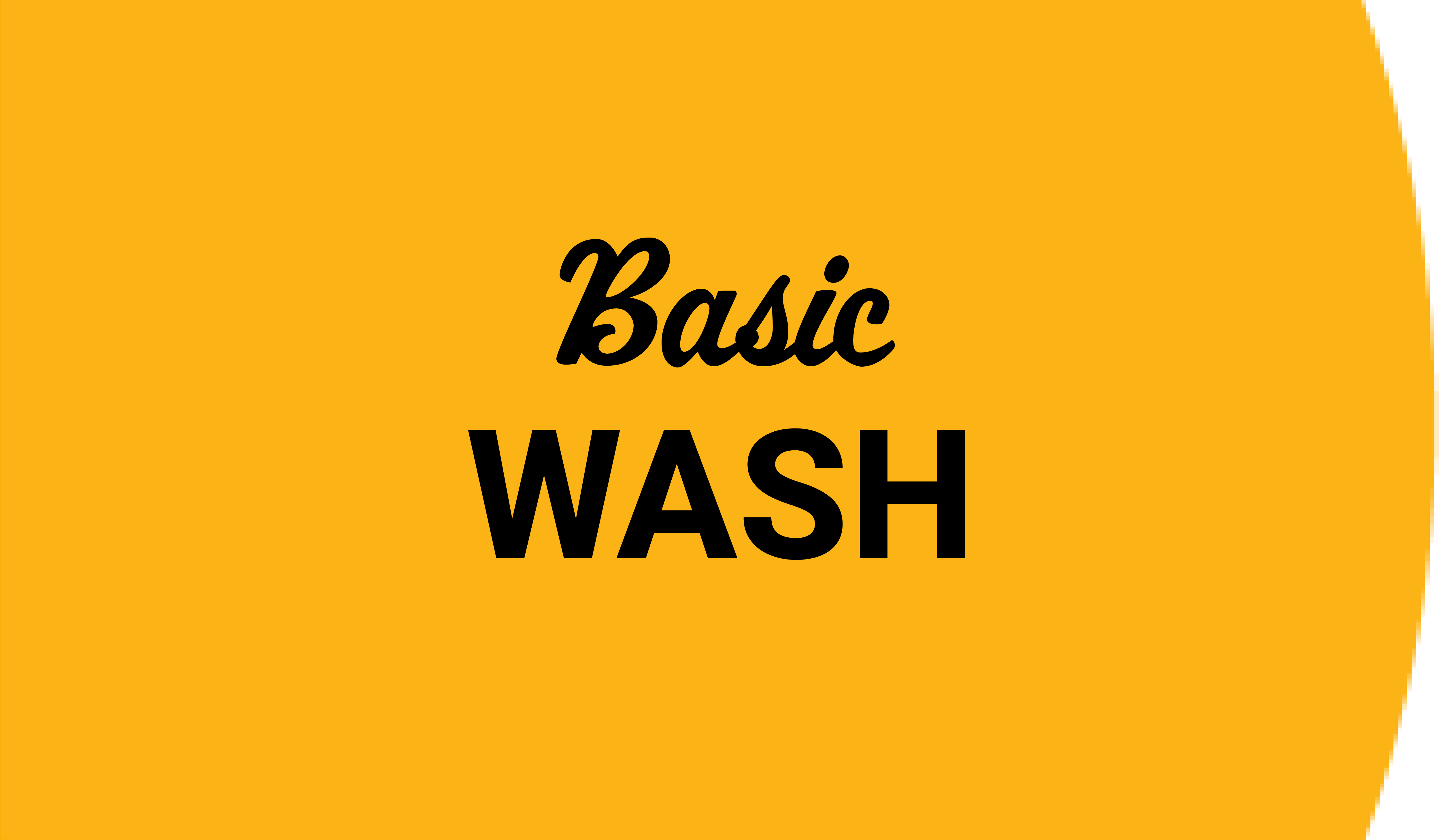 Basic Wash